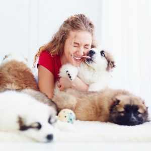 Can pets licking your mouth contribute to gum disease?